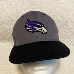 Pulse Richardson PTS 20 Flex-fit Baseball Cap